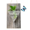 Vaso per piante idroponiche in vetro da parete con asse in legno rustico e farfalla blu. - Tavola di Legno + Triangolo