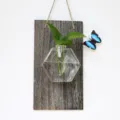 Vaso in vetro sospeso idroponico con tavola in legno e pianta verde per decorazione - Tavola di Legno + Esagono