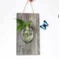 Terrarium per piante in vetro da appendere a parete con asse di legno rustico e verde. - Tavola di Legno + Forma di Topo