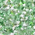 Cuentas espaciadoras de acrílico de mariposa verdes y blancas para manualidades DIY. - Verde