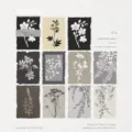 Floral silhouette decorative paper for scrapbooking, Flower Shadow series, 20 sheets - Pack of 20 / Ink Mark Shadow