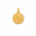 Vintage 18k vergoldeter Leo Sternzeichen Anhänger aus Edelstahl runde Münze Kette - Löwe / Gold