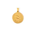 Vintage goldener Fische-Sternzeichen-Anhänger aus Edelstahl für Halsketten Schmuck - Fische / Gold