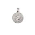 Vintage-Edelstahl-Anhänger mit Capricorn-Sternzeichen-Rundmünze für stilvolle Halsketten. - Steinbock / Stahlfarben