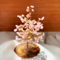 Detailopname van roze kristallen boom met natuurlijke agaat schijf voet decoratie - 15-17cm / Rozenkwarts