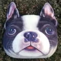 Cojín decorativo 3D realista con cabeza de perro Boston Terrier para sofá o coche - Medium-Bullfighting