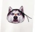 Macro view of a cute cartoon husky face coin purse with a creative butterfly detail - Husky with Butterfly (Black)
