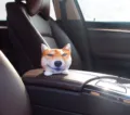 Accesorio creativo para el interior del coche con cabeza de perro Shiba Inu de peluche - Estilo Shiba Amarillo Malvado / Tamaño: 12x12x10cm