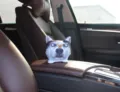 Divertida bolsa de carbón de felpa con cabeza de husky 3D para el interior del coche - Estilo Perro Negro con Mariposa / Tamaño: 12x12x10cm