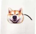 Detailed view of a cute Shiba Inu head shaped plush coin pouch with zipper closure - Smiling Shiba Inu