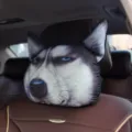 Reposacabezas de coche con cara de husky 3D para apoyo cervical y confort. - Husky Despectivo / 22*28 cm