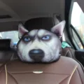 Reposacabezas de coche 3D realista con cara de perro Husky para confort del asiento - Husky Mirando Fijo / 22*28 cm