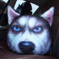 Cojín decorativo 3D con cara de perro Husky para asiento de coche reposacabezas gracioso - Husky Mirando Fijo