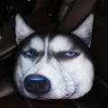 Divertido cojín de peluche con cabeza de perro Husky 3D para decoración interior de coche - Husky Despectivo