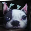 Cojín de peluche 3D realista con forma de cabeza de bulldog francés para el coche - Nuevo Bulldog Francés