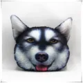 Cojín de peluche 3D realista con forma de cabeza de husky para casa o coche - Malamute de Alaska (Tipo 2)