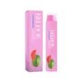 EELHOE Dentifrice Pastèque 60g Flacon Pompe Rose Haleine Fraîche Élimination Taches - Pastèque