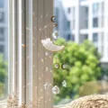 Inquadratura ravvicinata di acchiappasole a mezzaluna con cristalli e riflessi arcobaleno - Albumina Bianca