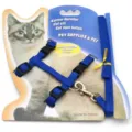 Set pettorina a H e guinzaglio blu regolabile in nylon per gatti e piccoli animali - Adatto per (collo ≤ 26 cm, torace ≤ 33 cm) / Blu