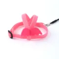 Imbracatura da volo rosa per pappagalli con ali d'angelo e guinzaglio regolabile - Parrocchetti e inseparabili / Rosa