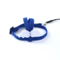 Pettorina blu regolabile per pappagalli con ali d'angelo per addestramento - Parrocchetti e inseparabili / Blu