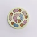 Circular interactive pet slow feeder toy with multi-color sliding compartments for dogs - Disc Puzzle Toy / Green