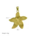 Gold starfish pendant detail showing dimensions, summer beach ocean style jewelry accessory. - Pendant Only (Without Chain) (DN260506-E)