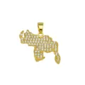 Close-up detail of the sparkling cubic zirconia paved gold-plated map pendant necklace accessory. - Country Map Style C (DN260325-C) (Pendant Only (Without Chain))