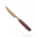 Gold steak knife with wooden handle stainless steel western tableware kitchen dining tool - Titanium Gold - Wood Handle Dinner Knife