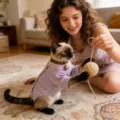 Cute cat recovery suit soft breathable pet anti-licking clothes for post surgery healing - S / Lavender