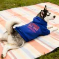 Blue dog hoodie with letter print, comfortable pet apparel for medium and large dogs outdoor - 3XL / Blue