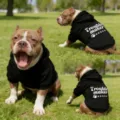 Black pet hoodie with trouble maker print, comfortable hooded sweatshirt for dogs. - 3XL / Black