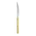 Stainless steel steak knife with yellow tortoiseshell handle, perfect for western dining. - Dinner Knife / Ink Yellow