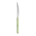 Stainless steel steak knife with light green marble pattern handle, sharp serrated dinner knife. - Dinner Knife / Verdant