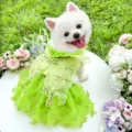 Green pet dog princess dress lace butterfly tutu skirt lovely summer wedding puppy apparel details - S (Chest 35cm, 3-5 lbs) / Wizard of Oz Princess Dress