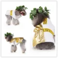 Costume toge grecque drôle pour animaux de compagnie chien avec couronne de feuilles - SDZ97 blanc