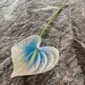 Single stem artificial PU anthurium flower for home decor table centerpiece blue white - White and Blue Gradient