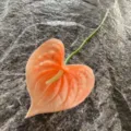 Artificial Anthurium Flower Prop PU Fake Flower Home Decor Photography Background 1Pcs - Pink Orange