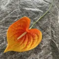 Single stem artificial PU anthurium flower for home decor and photo prop variant - Orange Yellow Gradient