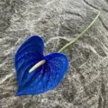 Single branch artificial PU anthurium blue fake flower home decor photography prop. - Blue