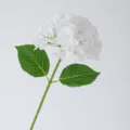 Artificial Hydrangea Flower Real Touch Single Stem White Silk Wedding Home Decor - Pure White