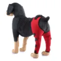 Dog knee brace red black pet rehabilitation leg support sleeve small medium dogs variant - XS / Red