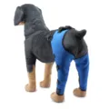 Blue dog leg brace for knee support, post-operative pet recovery sleeve with adjustable straps. - XS / Blue