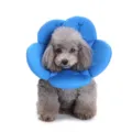 Blue flower pet recovery collar soft Elizabethan cone for cat dog anti-licking postoperative - S / Blue Flower (YLSB07)