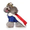 Pet dog king costume royal cape and gold crown outfit for small dogs and poodles - S / King Style