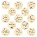 Lot de 13 disques en bois d'étape de bébé avec motif de feuilles gravées cartes mensuelles photographie. - 10cm / Vert