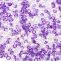 Melange de strass en resine colores et de perles pour loisirs creatifs et bijoux. - 20g/Paquet / Violet foncé