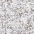 Close-up van gemengde harsstrassteinen en neppe parels, ideaal voor knutselen en harsgieten. - 20g/Verpakking / Grijs