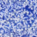 Detailopname van blauwe hars strass steentjes en witte neppe parels voor DIY hand crafts. - 20g/Verpakking / Koningsblauw