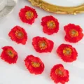 Rode kunstmatige klaproos bloemhoofdjes voor DIY handwerk en vintage huwelijksdecoratie. - Rood